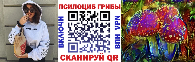 Псилоцибиновые грибы MAGIC MUSHROOMS  наркота  Великий Новгород 